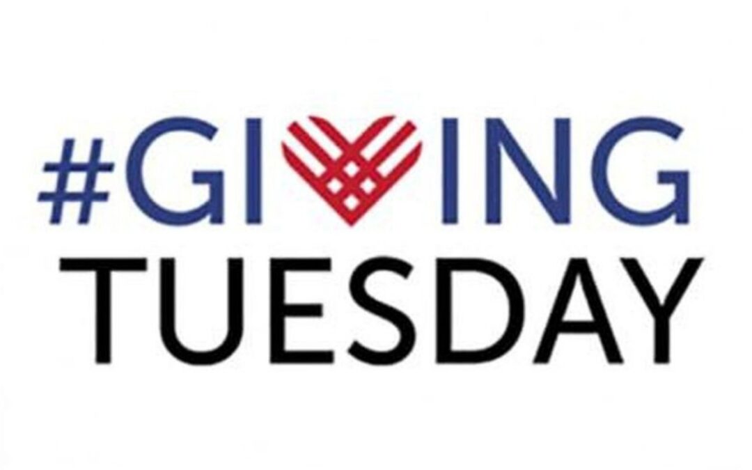 Georgia Gives #GivingTuesday is May 5th – Focus on Families impacted by COVID 19